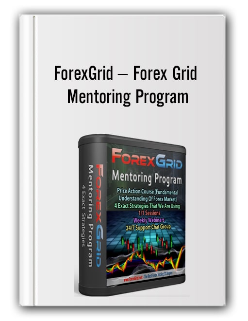 Best forex mentoring programs